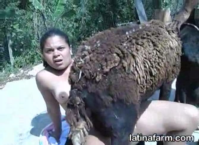 Video :Latina visits the farm and has animal sex